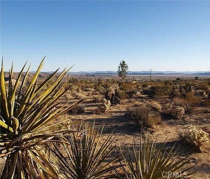 2.5 Acres of Residential Land for Sale in Joshua Tree, California