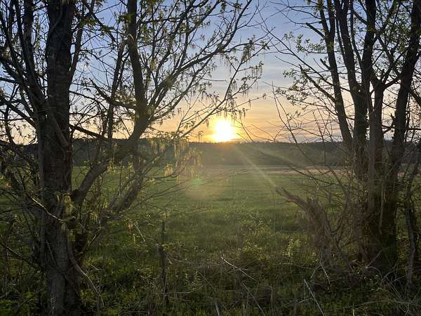 8 Acres of Recreational Land for Sale in Winchester, Kentucky