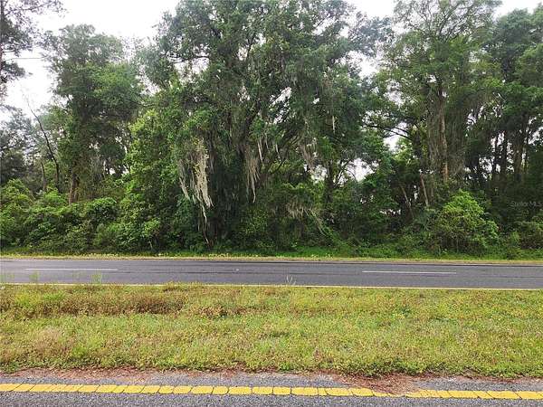 0.45 Acres of Residential Land for Sale in Summerfield, Florida