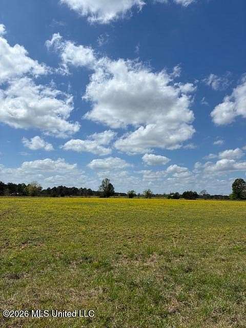 108 Acres of Agricultural & Residential Land for Sale in Morton, Mississippi