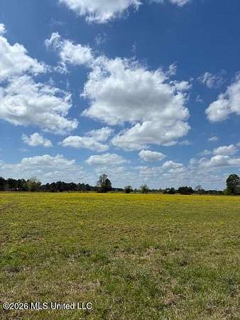 108 Acres of Agricultural & Residential Land for Sale in Morton, Mississippi