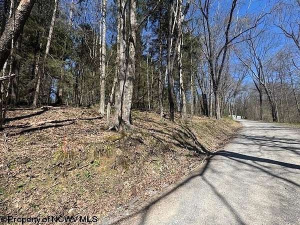 0.14 Acres of Land for Sale in Bruceton Mills, West Virginia