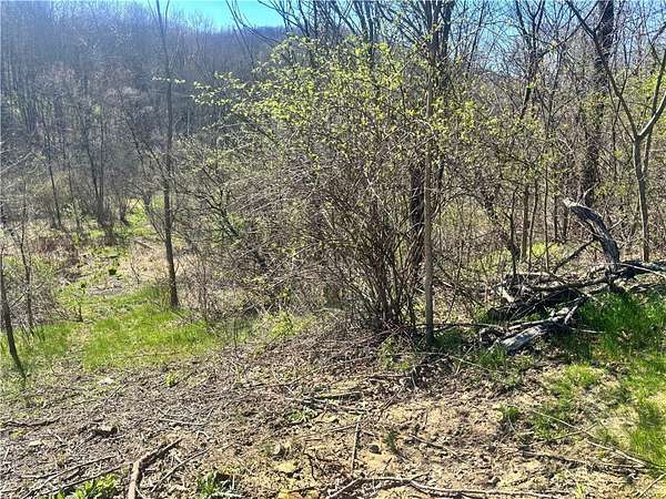 1 Acre of Residential Land for Sale in Beaver Falls, Pennsylvania