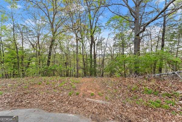 4.22 Acres of Residential Land for Sale in Gainesville, Georgia