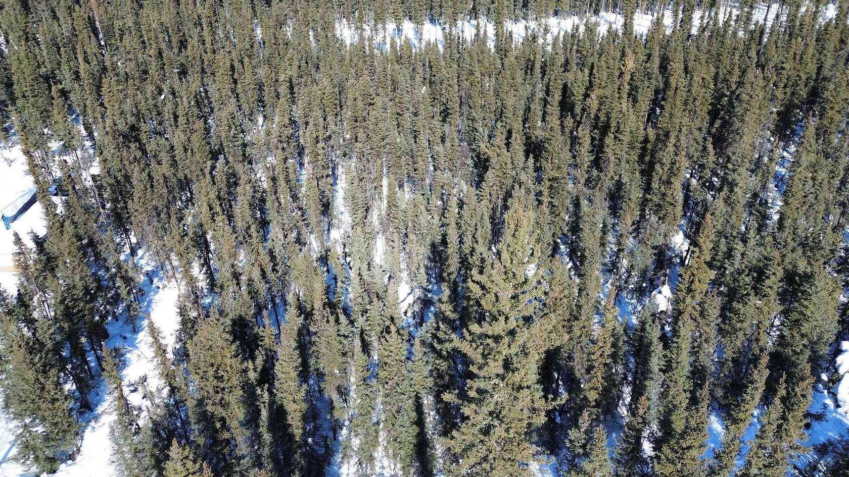 0.46 Acres of Land for Sale in Salcha, Alaska