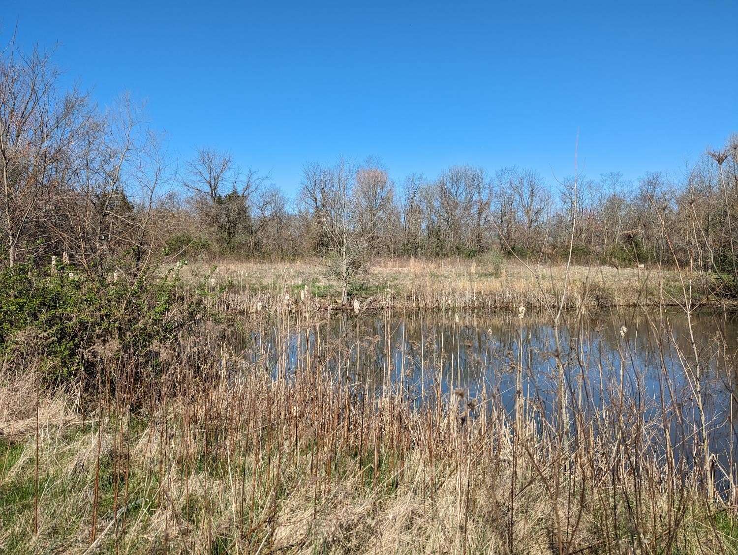 15.8 Acres of Land for Sale in Milan, Indiana