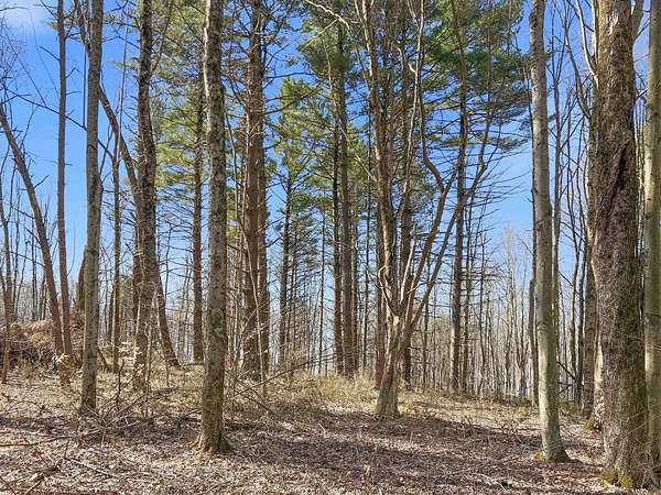 40 Acres of Recreational Land for Sale in Logan, Ohio