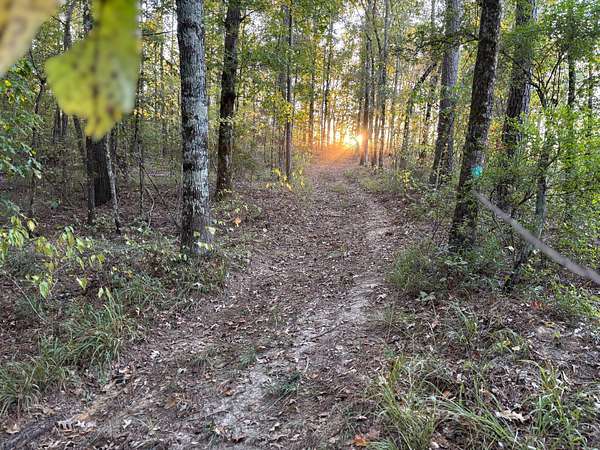 62 Acres of Recreational Land for Sale in Pickens, Mississippi
