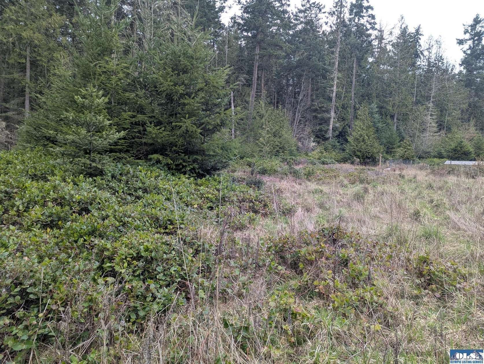 1 Acre of Residential Land for Sale in Sequim, Washington