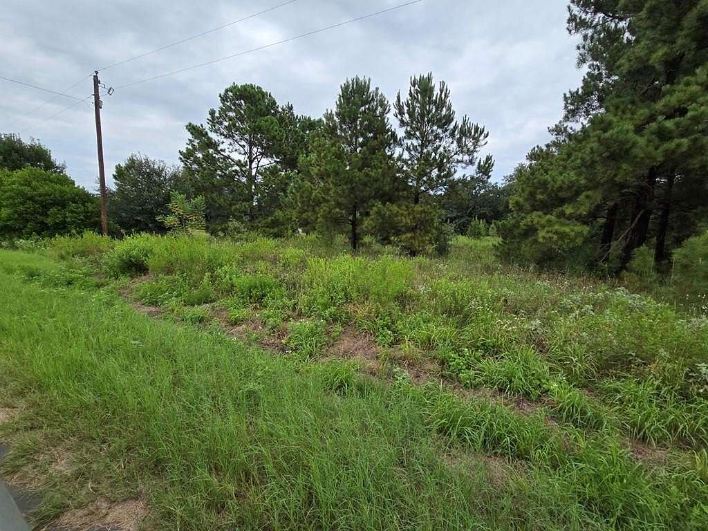 5 Acres of Residential Land for Sale in Palestine, Texas