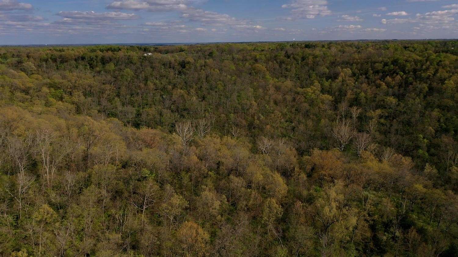 53 Acres of Recreational & Residential Land for Sale in West Harrison, Indiana