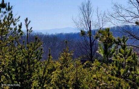 3.37 Acres of Residential Land for Sale in Greenback, Tennessee