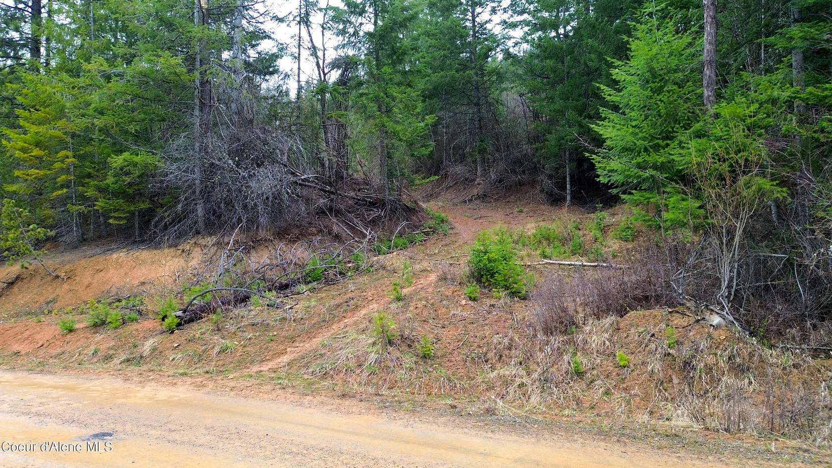 10 Acres of Recreational & Residential Land for Sale in St. Maries, Idaho