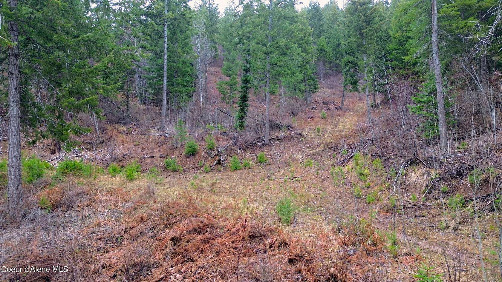 10 Acres of Recreational & Residential Land for Sale in St. Maries, Idaho