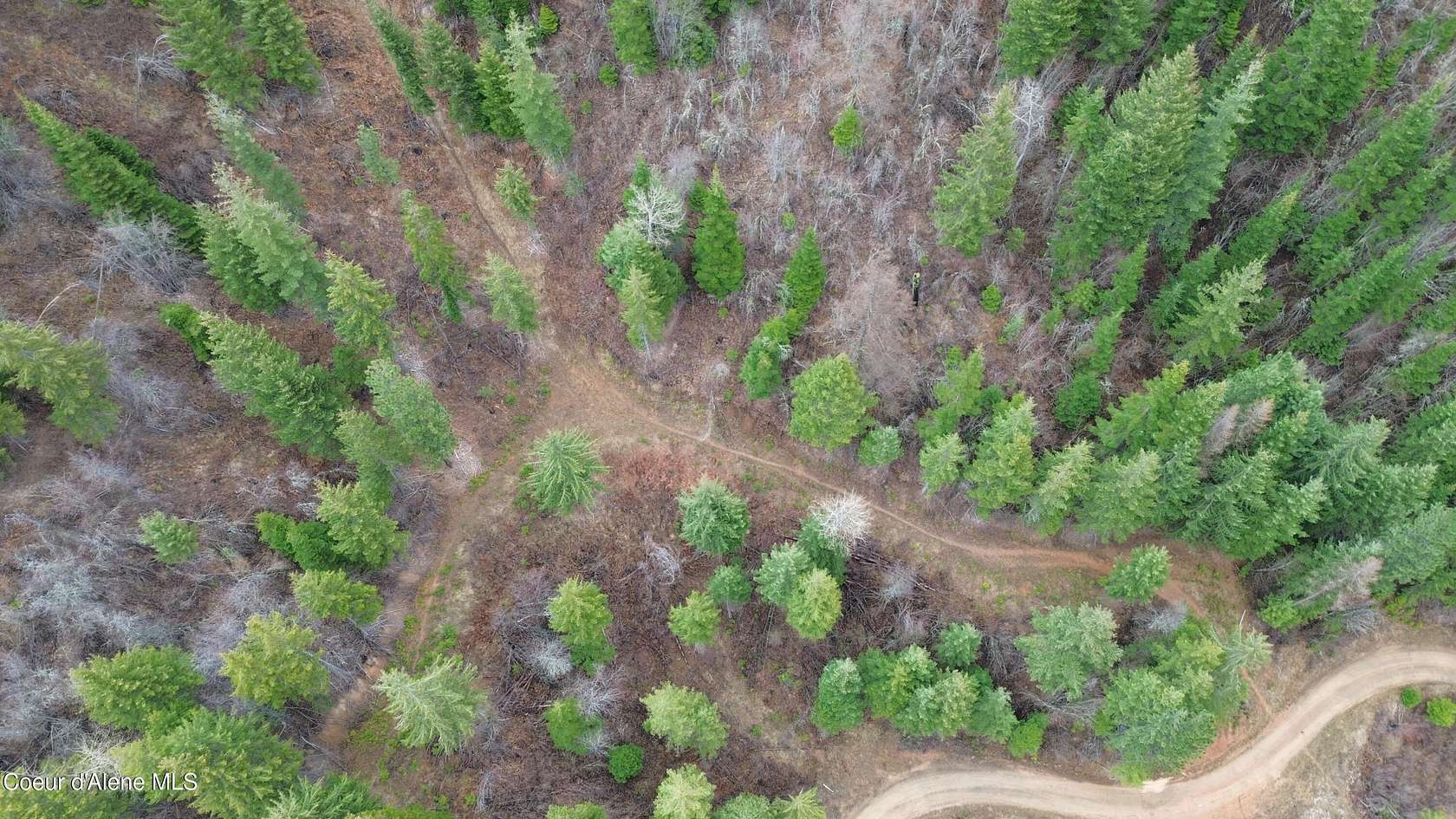 10 Acres of Recreational & Residential Land for Sale in St. Maries, Idaho