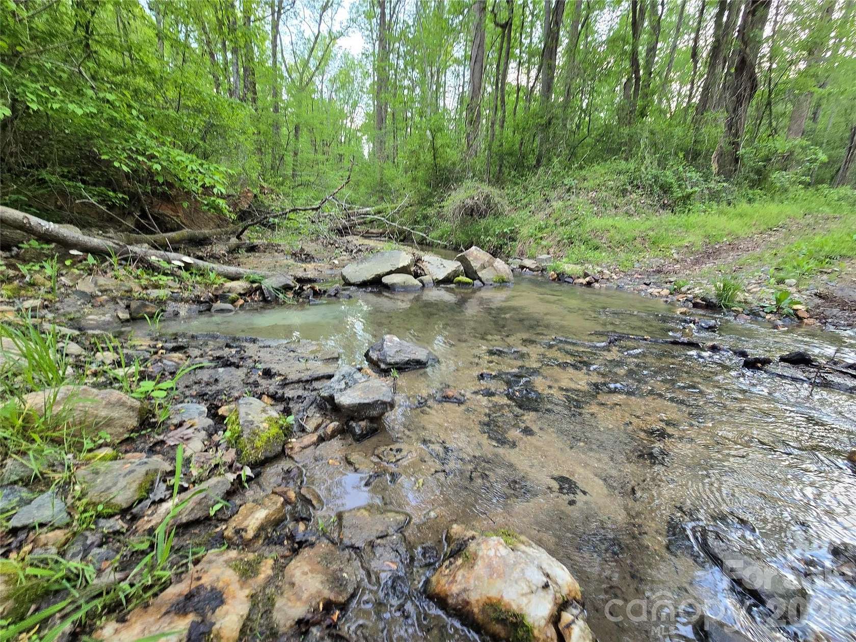 234 Acres of Recreational & Residential Land for Sale in Mount Ulla, North Carolina