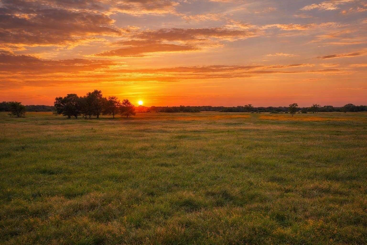 110 Acres of Land for Sale in Lampasas, Texas