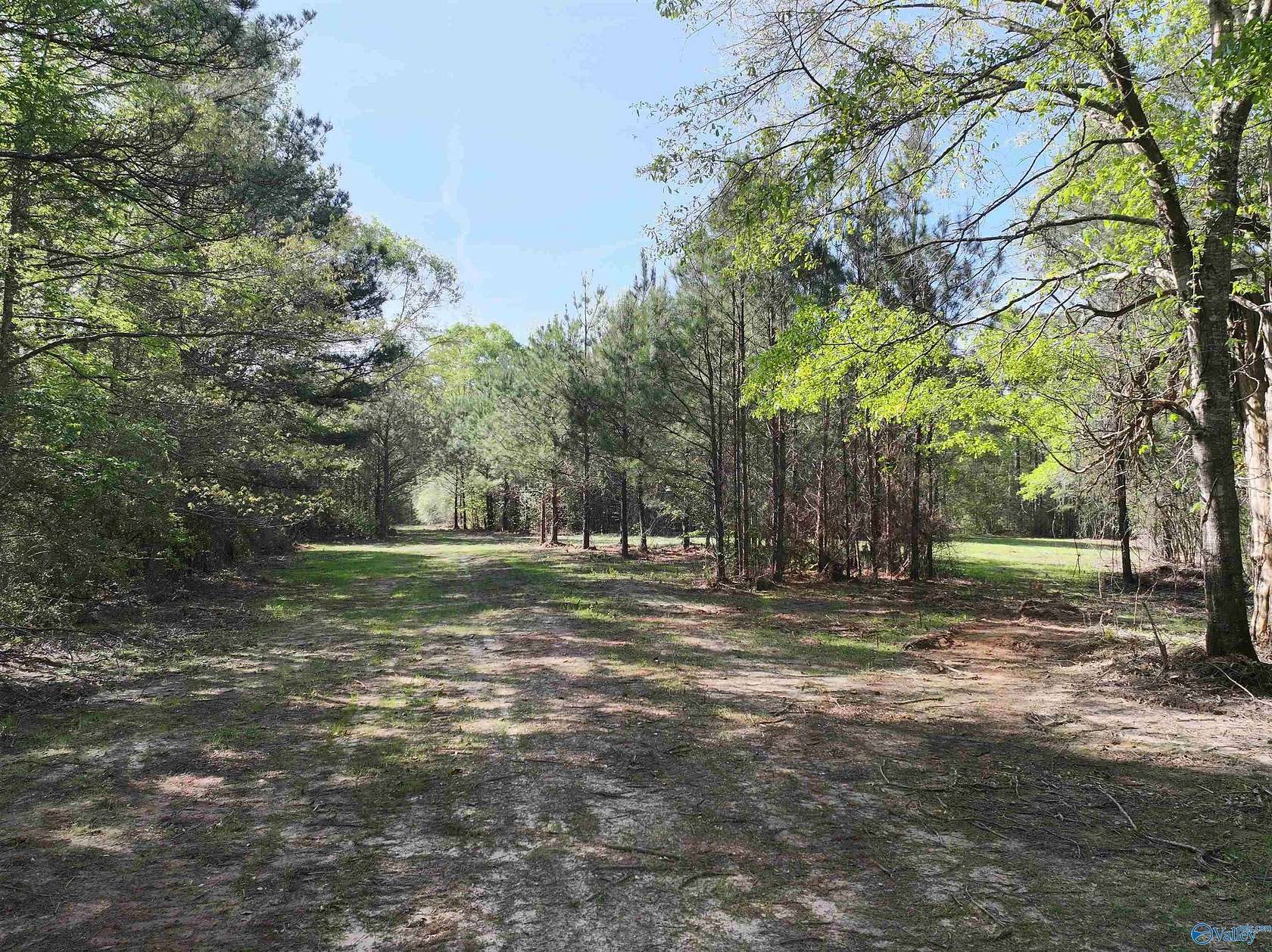261 Acres of Recreational & Residential Land for Auction in Tuskegee, Alabama