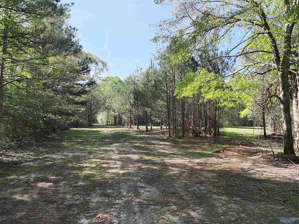 261 Acres of Recreational & Residential Land for Auction in Tuskegee, Alabama