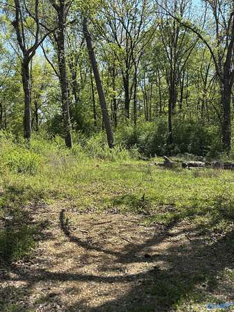 0.16 Acres of Residential Land for Sale in Gadsden, Alabama