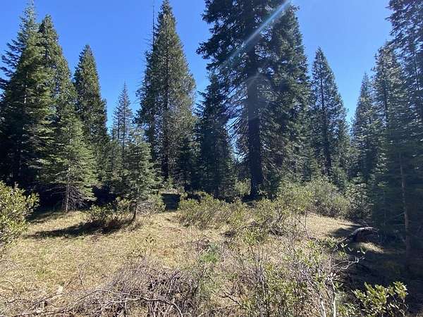 2.5 Acres of Residential Land for Sale in McCloud, California