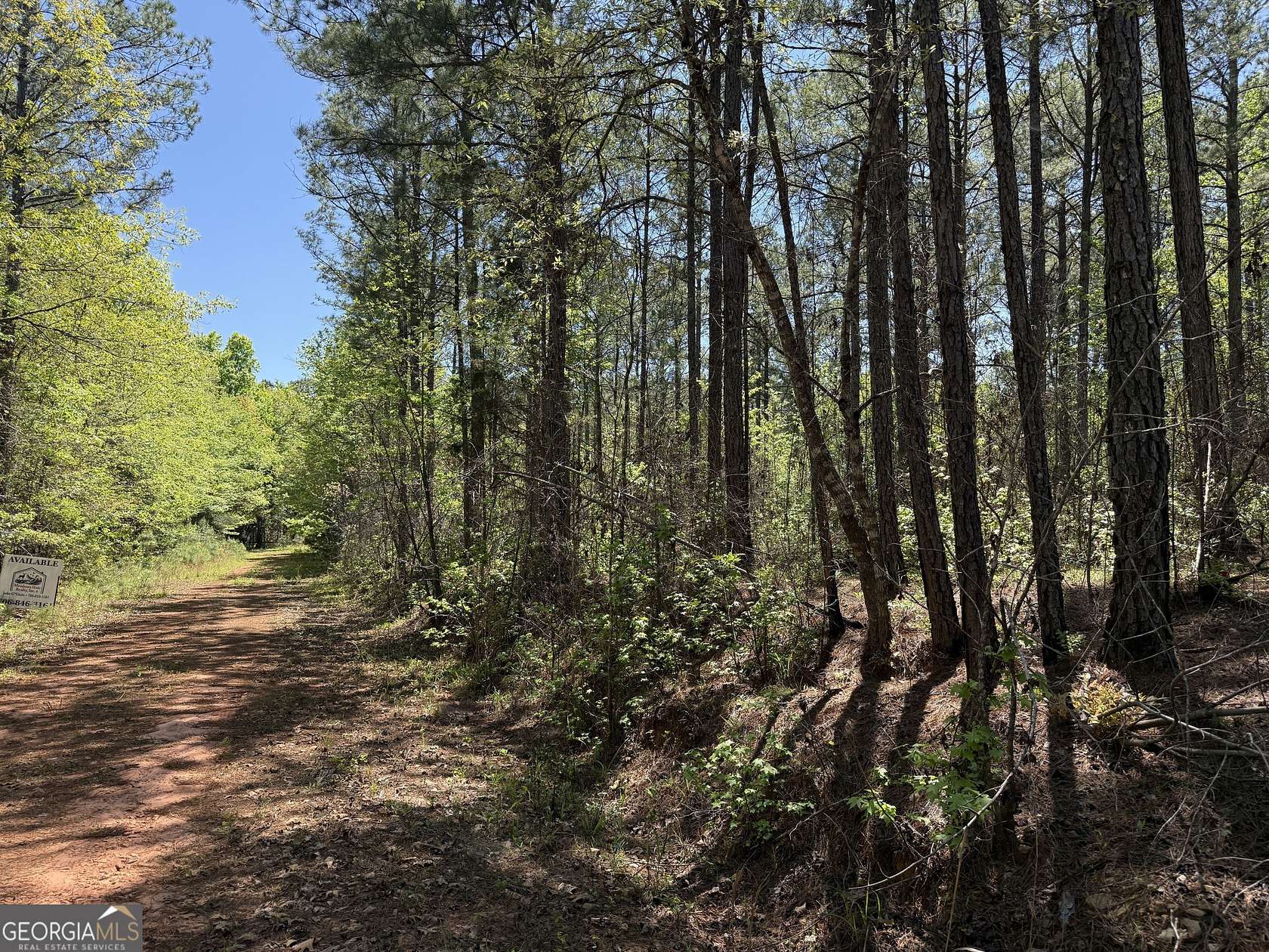 19.7 Acres of Recreational & Residential Land for Sale in Pine Mountain, Georgia