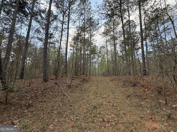 19.7 Acres of Recreational & Residential Land for Sale in Pine Mountain, Georgia