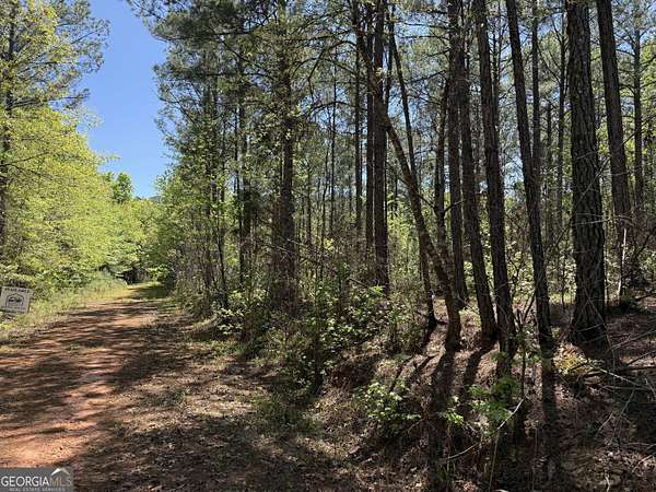 19.7 Acres of Recreational & Residential Land for Sale in Pine Mountain, Georgia