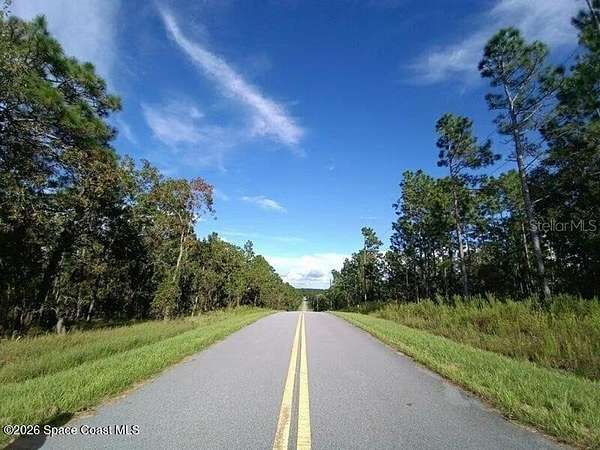1 Acre of Residential Land for Sale in Dunnellon, Florida