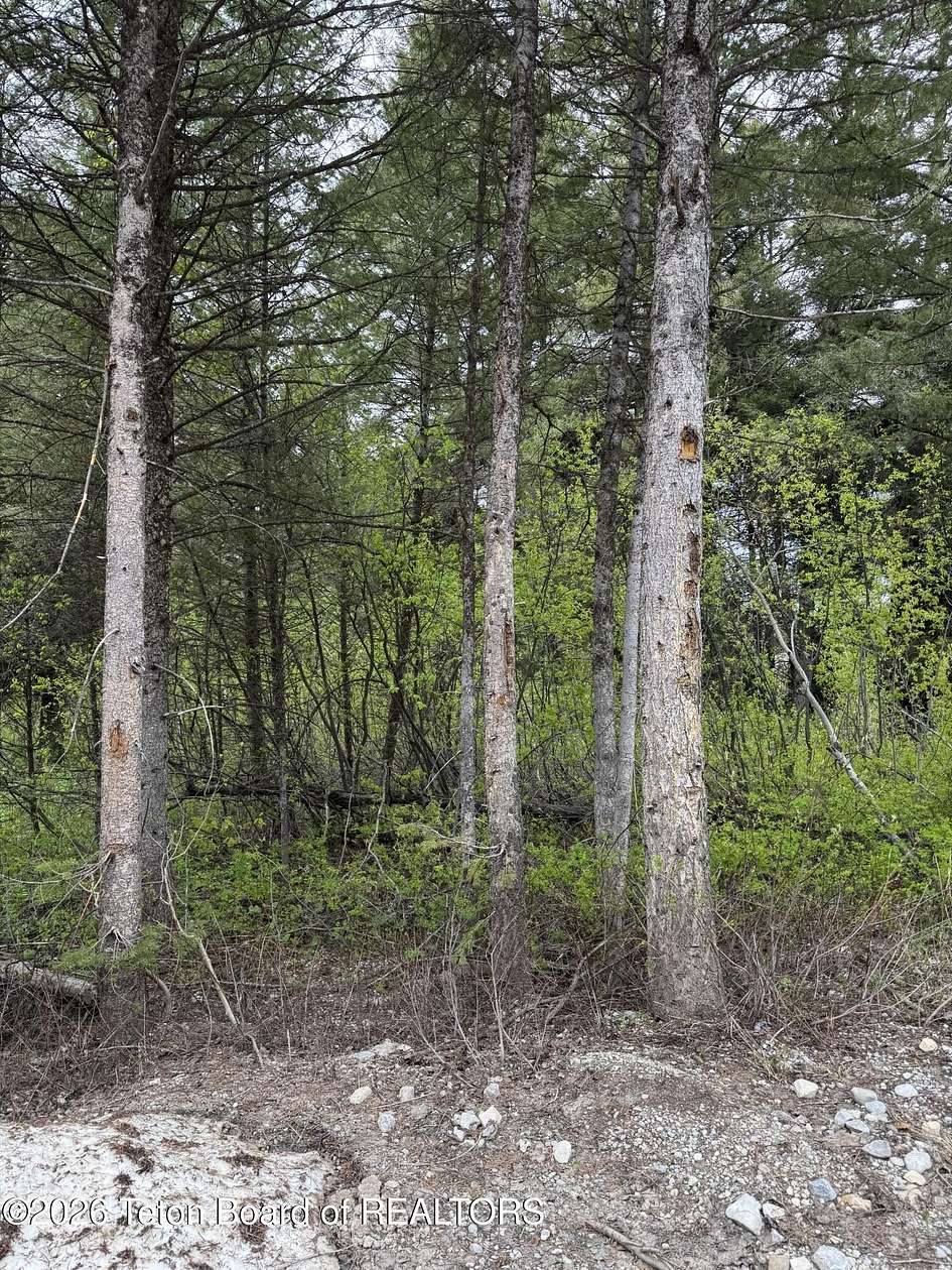 0.5 Acres of Residential Land for Sale in Star Valley Ranch, Wyoming