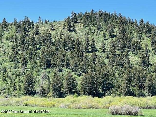 43.2 Acres of Agricultural Land for Sale in Afton, Wyoming