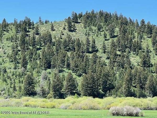 43.2 Acres of Agricultural Land for Sale in Afton, Wyoming