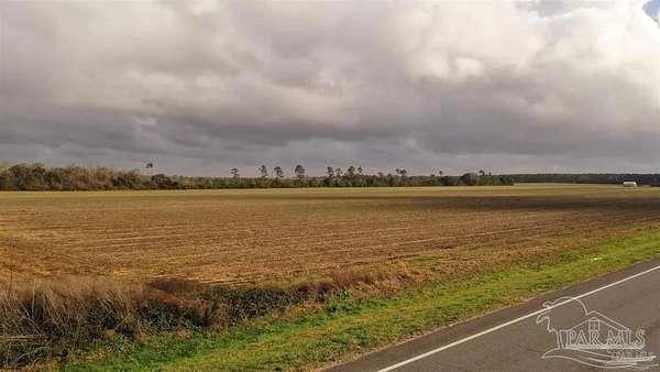 120 Acres of Recreational & Residential Land for Sale in Jay, Florida