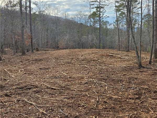 34 Acres of Recreational & Residential Land for Sale in Canton, Georgia