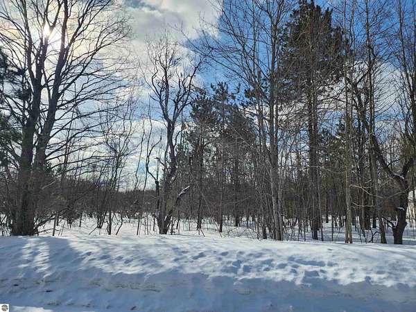 0.53 Acres of Land for Sale in Mancelona, Michigan