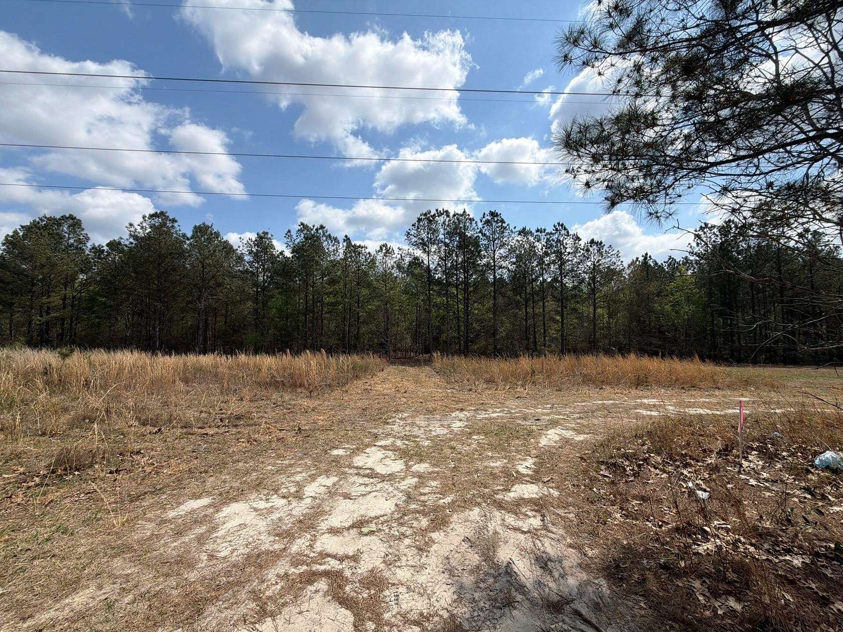 9.83 Acres of Residential Land for Sale in Ridge Spring, South Carolina
