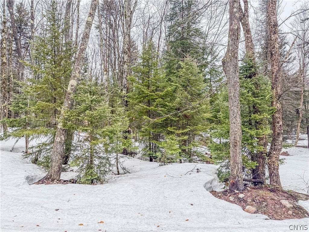 4.7 Acres of Residential Land for Sale in Lowville, New York