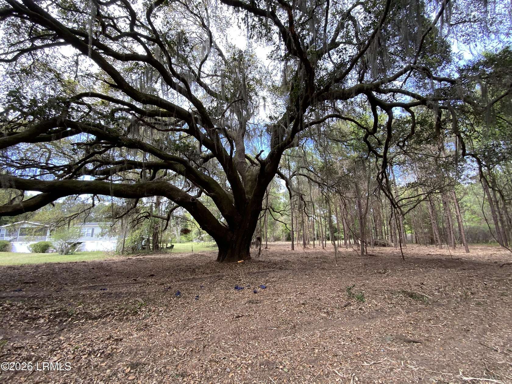 1 Acre of Residential Land for Sale in Saint Helena Island, South Carolina