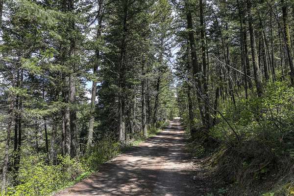 17.9 Acres of Land for Sale in Lolo, Montana