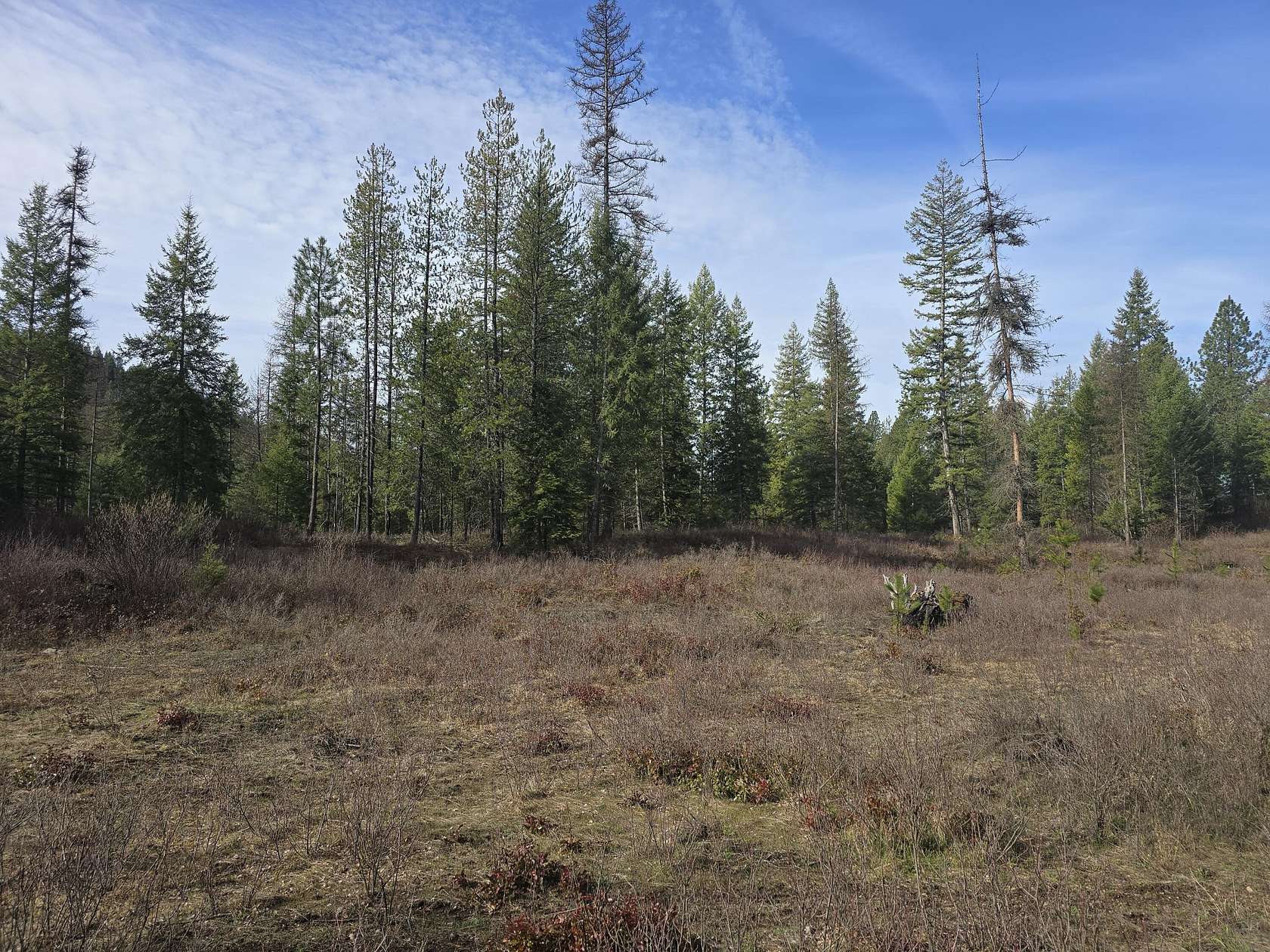 4 Acres of Land for Sale in Kettle Falls, Washington