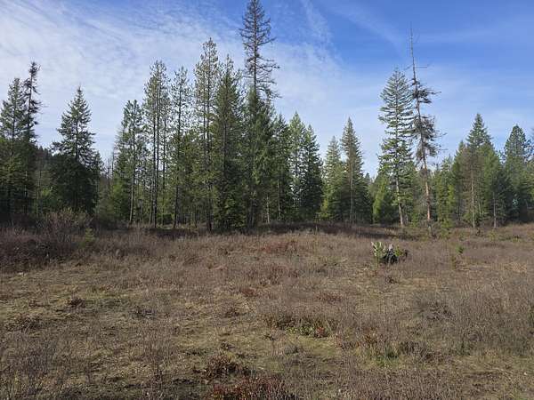 4 Acres of Land for Sale in Kettle Falls, Washington