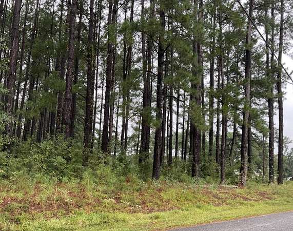 0.66 Acres of Residential Land for Sale in Douglas, Georgia