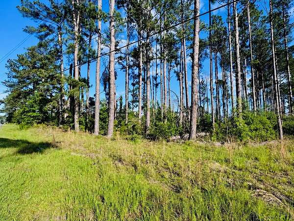 0.66 Acres of Residential Land for Sale in Douglas, Georgia