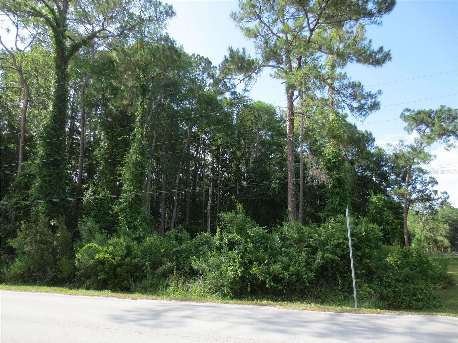 7.27 Acres of Residential Land for Sale in Silver Springs, Florida