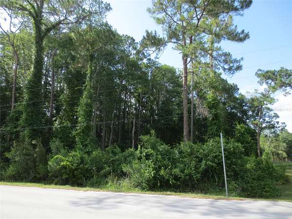 7.27 Acres of Residential Land for Sale in Silver Springs, Florida
