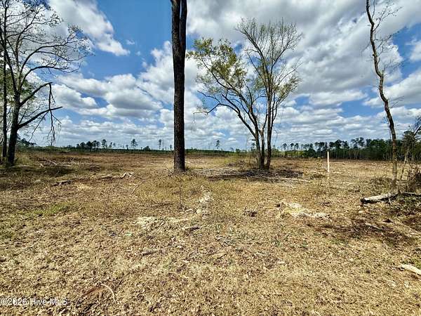 38.4 Acres of Land for Sale in Red Springs, North Carolina