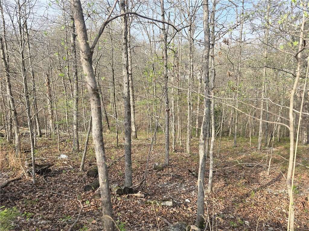 0.26 Acres of Residential Land for Auction in Bella Vista, Arkansas