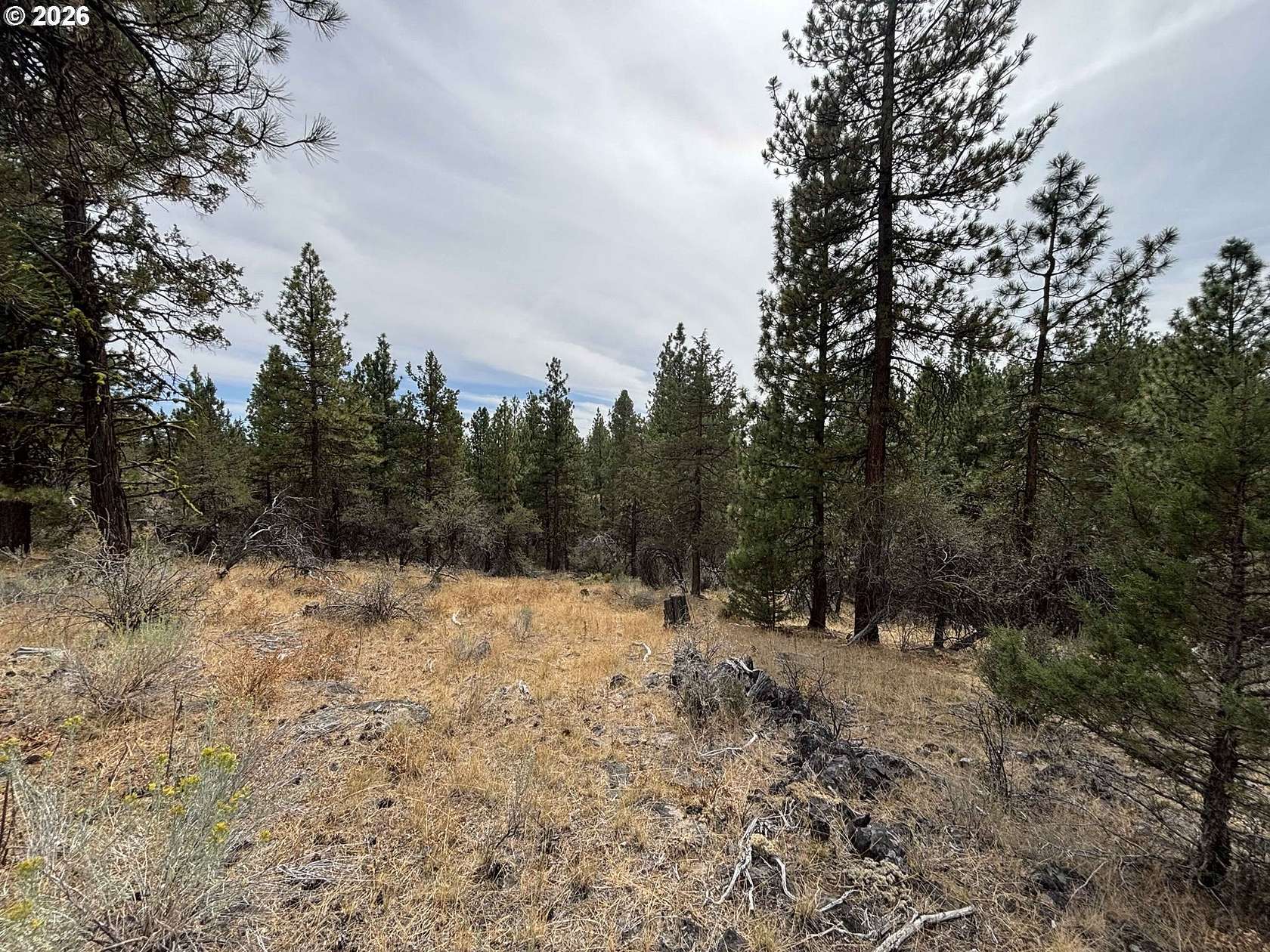 5.19 Acres of Residential Land for Sale in Bonanza, Oregon
