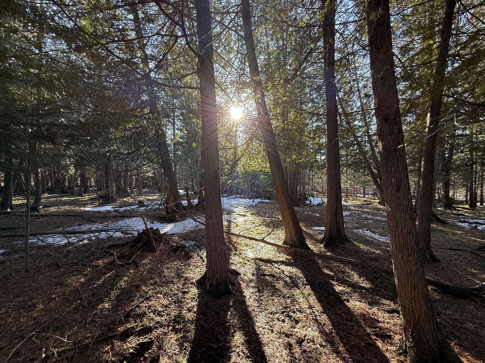 40 Acres of Recreational Land for Sale in Lincoln, Michigan