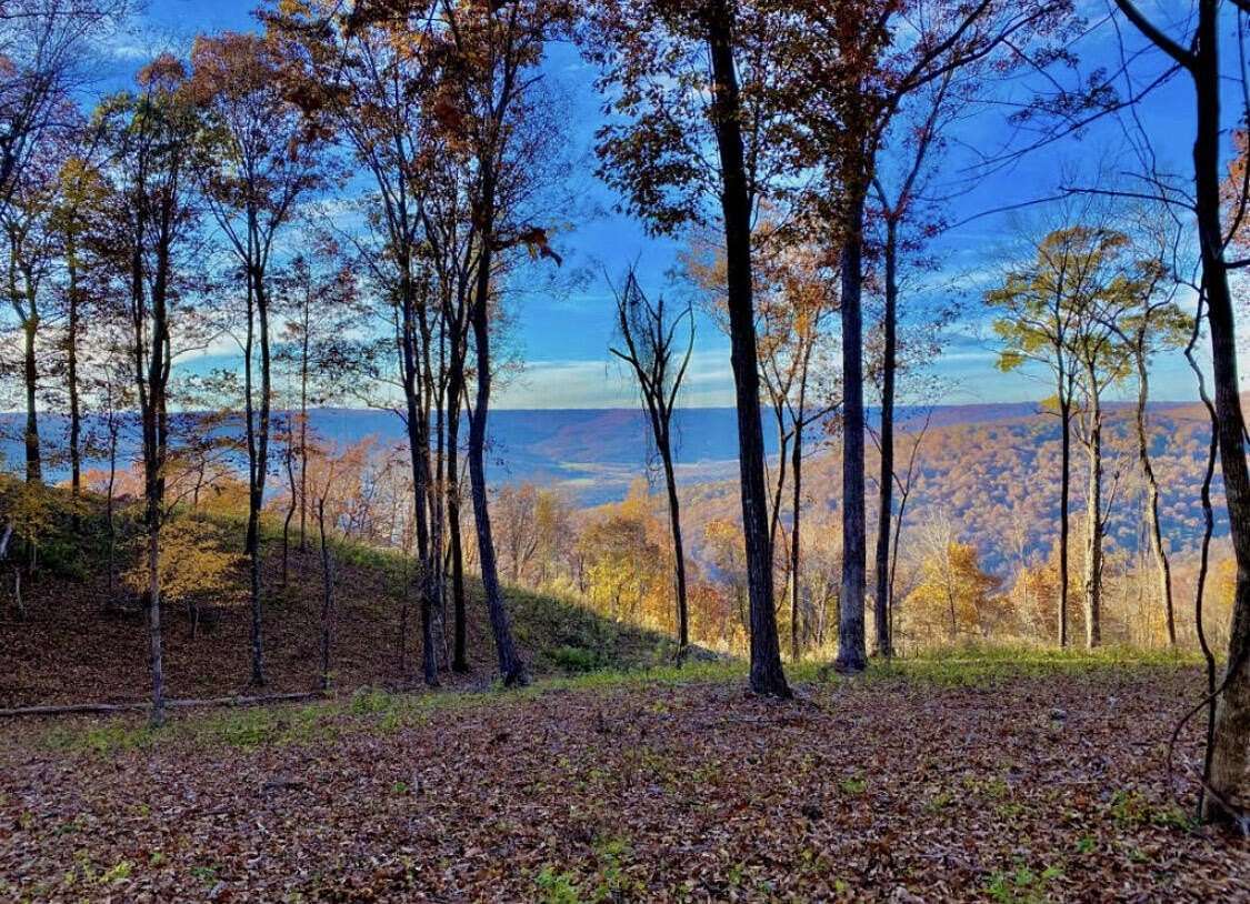2 Acres of Residential Land for Sale in Jasper, Tennessee